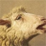 A cropped picture of a sheep's head, from Anguish by August Friedrich Schenck